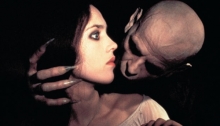 dracula nosferatu