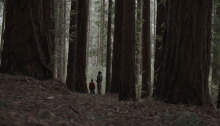 Kasimir Burgess’ Fell