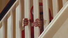 The Brood David Cronenberg