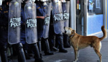 Interview: Dogs of Democracy and the Greek Economic Crisis