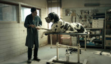 European AFI - Dogman